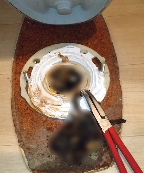 便器を取り外して詰まり除去作業