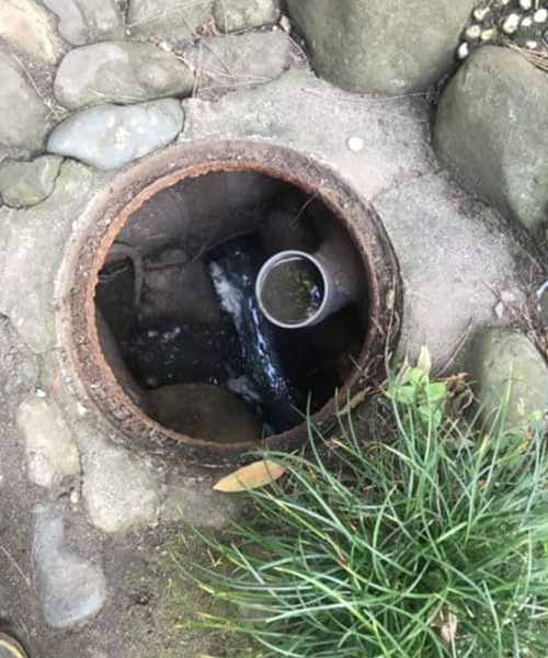 台所つまり原因である木の根が侵食した石桝