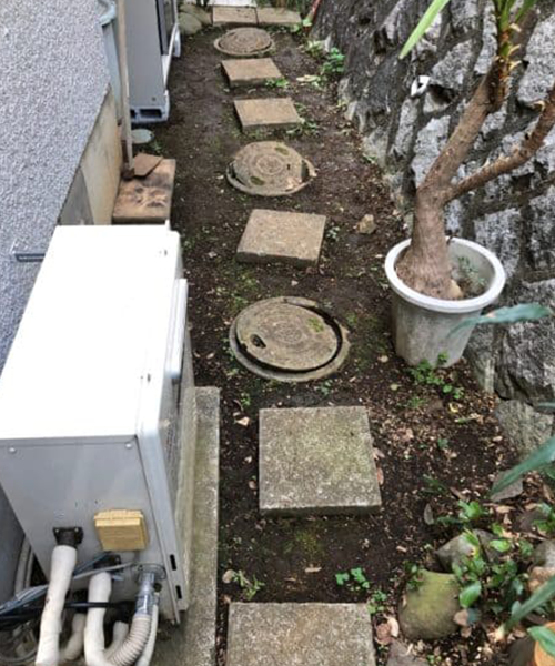 木の根が侵入して排水つまり発生