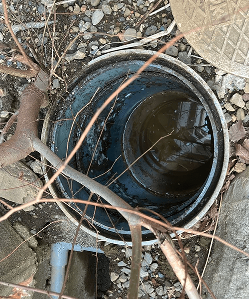 排水つまりの原因がある排水桝
