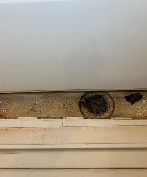 トラップ内で詰まり逆流する浴室の排水口