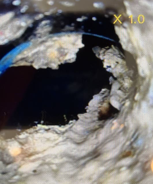 油脂が固着した排水管内