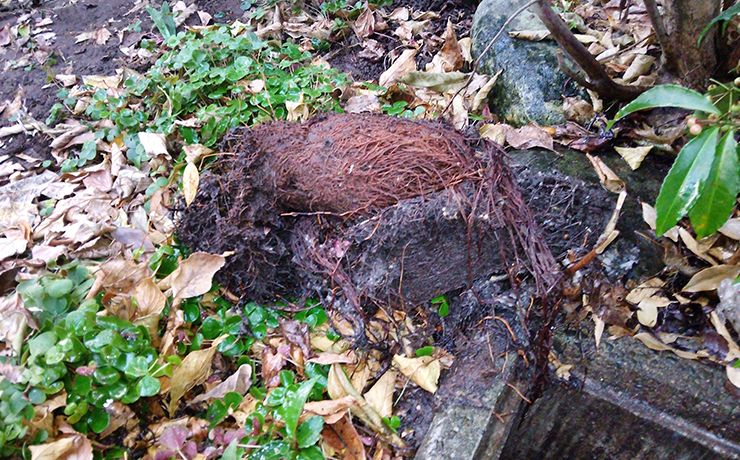 大和市で排水時のゴボゴボ音を配管の詰まりを除去して解消