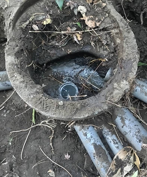 下水詰まりを起こした屋外桝
