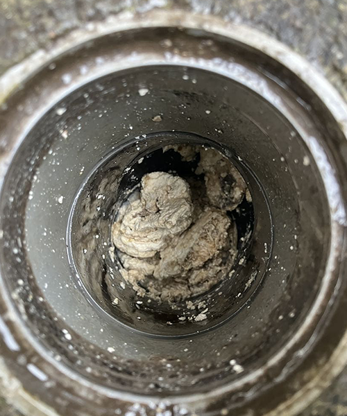 排水桝の詰まりを確認