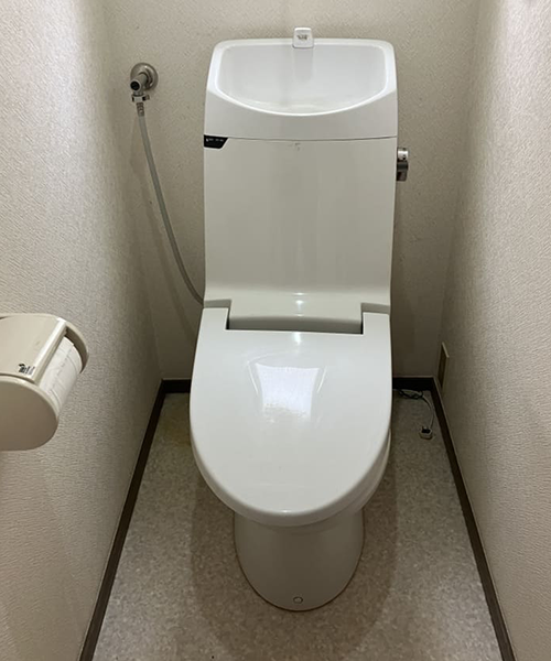 壊れて水が流れないトイレ