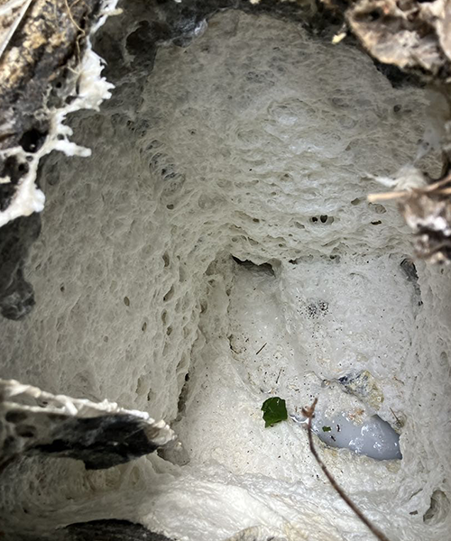 汚れが蓄積した排水桝