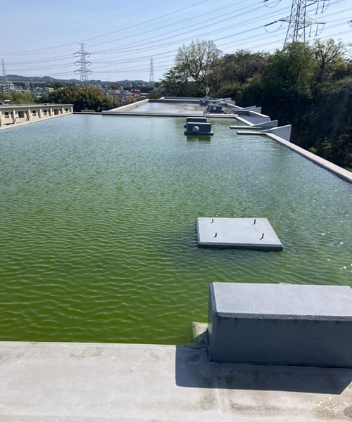排水詰まりによって屋上に溜まった水