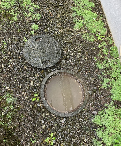 詰まっている排水桝